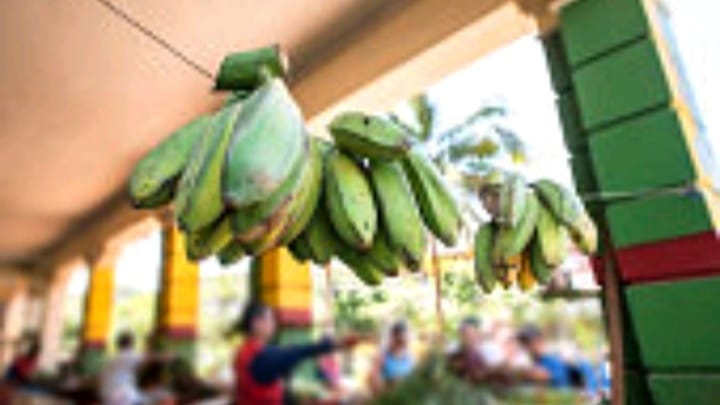 Decomisan y luego venden: la medida del gobierno en Las Tunas que provoca críticas