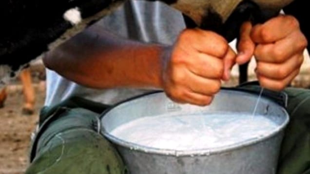 Más de 100.000 niños en Cuba sin leche por falta de combustible